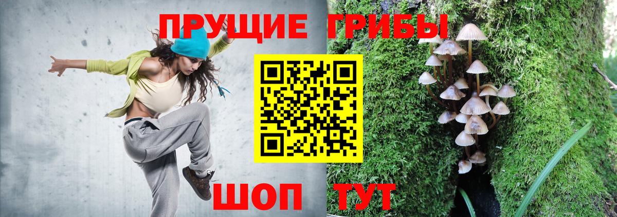 Псилоцибиновые грибы мицелий  Вход с VPN  Мариинск 